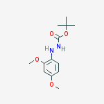 Structure of N'-(2,4-Dimethoxy-phenyl)-hydrazinecarboxylic acid tert-butyl ester