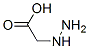 hydrazinoacetic acid结构式