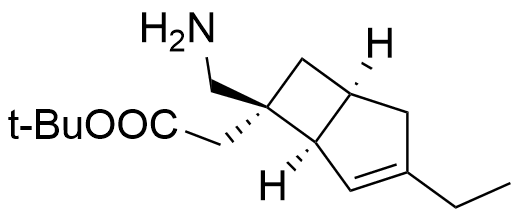 Structure of (1R,5S,6R)-6-(aminomethyl)-3-ethyl-Bicyclo[3.2.0]hept-3-ene-6-acetic 1,1-dimethylethyl ester