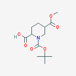 Structure of 1-(TERT-BUTOXYCARBONYL)-5-(METHOXYCARBONYL)PIPERIDINE-2-CARBOXYLIC ACID