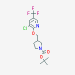 Structure of tert-Butyl 3-(((3-chloro-5-(trifluoromethyl)pyridin-2-yl)oxy)methyl)pyrrolidine-1-carboxylate