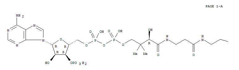 Acetoacetyl coa结构式