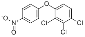 Structure of 2,3,4-Trichlorophenyl-4-nitrophenyl ether