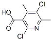 Structure of 2,5-Dichloro-4,6-dimethylnicotinic acid