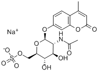 Structure of 4-METHYLUMBELLIFERYL-2-ACETAMIDO-2-DEOXY-6-SULPHATE-BETA-D-GLUCOPYRANOSIDE