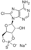 Structure of 8-CHLOROADENOSINE-3,5-CYCLIC MONOPHOSPHOROTHIOATE, RP-ISOMER SODIUM SALT