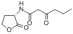 Structure of N-(BETA-KETOCAPROYL)-DL-HOMOSERINE LACTONE
