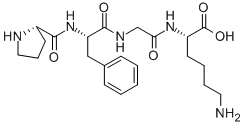 Structure of H-Pro-Phe-Gly-Lys-OH