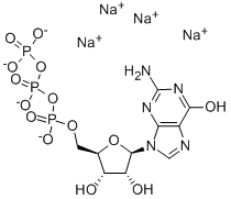 Structure of guanosine 5-(tetrasodium triphosphate)