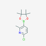 Structure of 6-Chloro-2-methyl-3-(4,4,5,5-tetramethyl-1,3,2-dioxaborolan-2-yl)pyridine