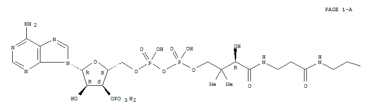 Structure of 3-indoleacryloyl-coenzyme A