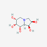 Structure of 6,7-DIHYDROXYSWAINSONINE
