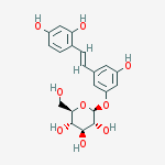 Structure of Oxyresveratrol 3-O-D-Glucopyranoside