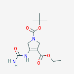 Structure of 1-tert-Butyl 3-ethyl 4-ureido-1H-pyrrole-1,3(2H,5H)-dicarboxylate