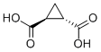 Structure of (1S)-Cyclopropane-1α,2β-dicarboxylic acid