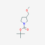 Structure of 3-MethoxyMethyl-pyrrolidine-1-carboxylic acid tert-butyl ester