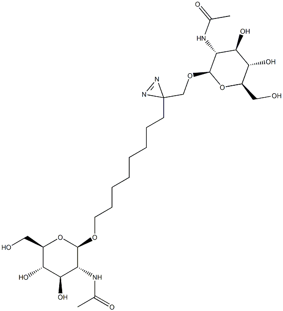 Structure of 1,10-di-O-(2-acetamido-2-deoxyglucopyranosyl)-2-azi-1,10-decanediol