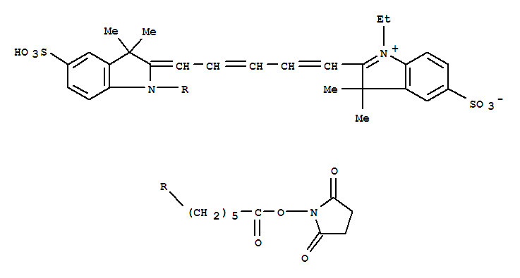 Structure of 3H-Indolium,2-[5-[1-[6-[(2,5-dioxo-1-pyrrolidinyl)oxy]-6-oxohexyl]-1,3-dihydro-3,3-dimethyl-5-sulfo-2H-indol-2-ylidene]-1,3-pentadienyl]-1-ethyl-3,3-dimethyl-5-sulfo-,inner salt