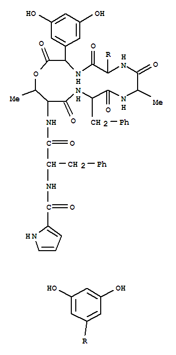 Structure of cochinmicin V