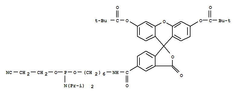 Structure of 6-FAM AMIDITE)