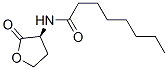 Structure of C8-HSL