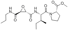 Structure of CA-074 ME