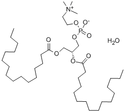 Structure of 1,2-Dihexadecanoyl-sn-glycero-3-phosphocholine,  3-sn-Phosphatidylcholine,  1,2-dipalmitoyl,  L-β,γ-Dipalmitoyl-α-lecithin