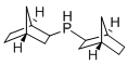 Structure of DI-2-NORBORNYLPHOSPHINE