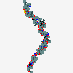 Structure of ADRENOMEDULLIN (HUMAN)