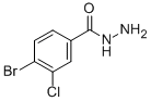 Structure of 4-BROMO-3-CHLOROBENZHYDRAZIDE