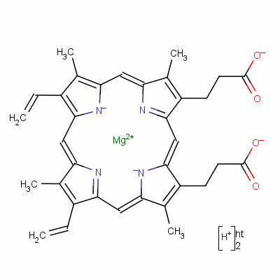 Structure of magnesium protoporphyrin