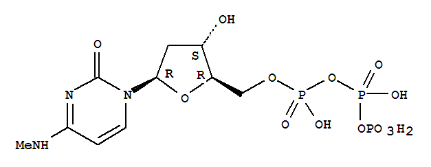 Structure of N(4)-methyl-2-deoxycytidine 5-triphosphate