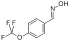 Structure of 4-(TRIFLUOROMETHOXY)BENZALDOXIME