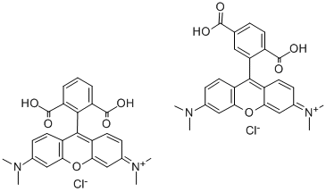 Structure of 3,6-(Dimethylamino)-3-oxo-spiro[isobenzofuran-1(3H),9-[9H]xanthene]-ar-carboxylic acid