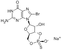 Structure of RP-8-BR-CGMPS