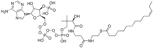 Structure of 11Z-tetradecenoyl-CoA