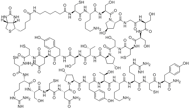 Structure of BIOTINYL-EPSILONAHX-CYS-LYS-SER-HYP-GLY-SER-SER-CYS-SER-HYP-THR-SER-TYR-ASN-CYS-CYS-ARG-SER-CYS-ASN-HYP-TYR-THR-LYS-ARG-CYS-TYR-NH2
