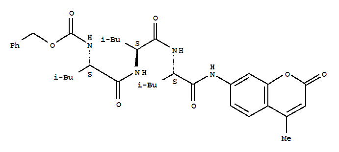 Structure of benzyloxycarbonylleucyl-leucyl-leucyl-4-methyl-coumaryl-7-amide