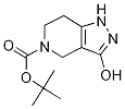 Structure of tert-Butyl 3-hydroxy-1,4,6,7-tetrahydropyrazolo[4,3-c]-pyridine-5-carboxylate