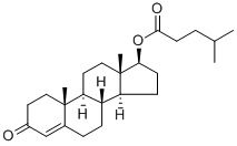 Structure of Testosterone isocaproate