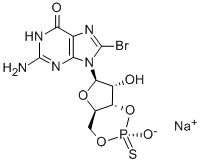 Structure of SP-8-BR-CGMPS