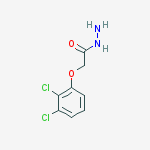 Structure of 2-(2,3-Dichlorophenoxy)acetohydrazide