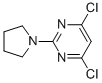 Structure of 4,6-DICHLORO-2-PYRROLIDIN-1-YL-PYRIMIDINE