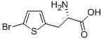 Structure of L-2-(5-Bromothienyl)alanine