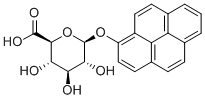 Structure of 1-HYDROXYPYRENE-BETA-D-GLUCURONIDE