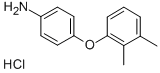 Structure of [4-(2,3-DIMETHYLPHENOXY)PHENYL]AMINE HYDROCHLORIDE