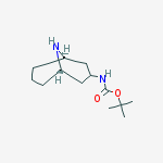 Structure of N-(3-Endo)-9-Azabicyclo[3.3.1]non-3-Ylcarbamic Acid 1,1-Dimethylethyl Ester
