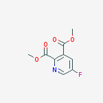Structure of diMethyl 5-fluoropyridine-2,3-dicarboxylate
