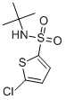 Structure of 5-Chloro-N-tert-butyl-2-thiophenesulfonamide