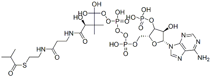 Structure of [(2R,3S,4R,5R)-5-(6-aminopurin-9-yl)-4-hydroxy-2-[[hydroxy-[hydroxy-[(3R)-3-hydroxy-2,2-dimethyl-3-[2-[2-(2-methylpropanoylsulfanyl)ethylcarbamoyl]ethylcarbamoyl]propoxy]phosphoryl]oxy-phosphoryl]oxymethyl]oxolan-3-yl]oxyphosphonic acid